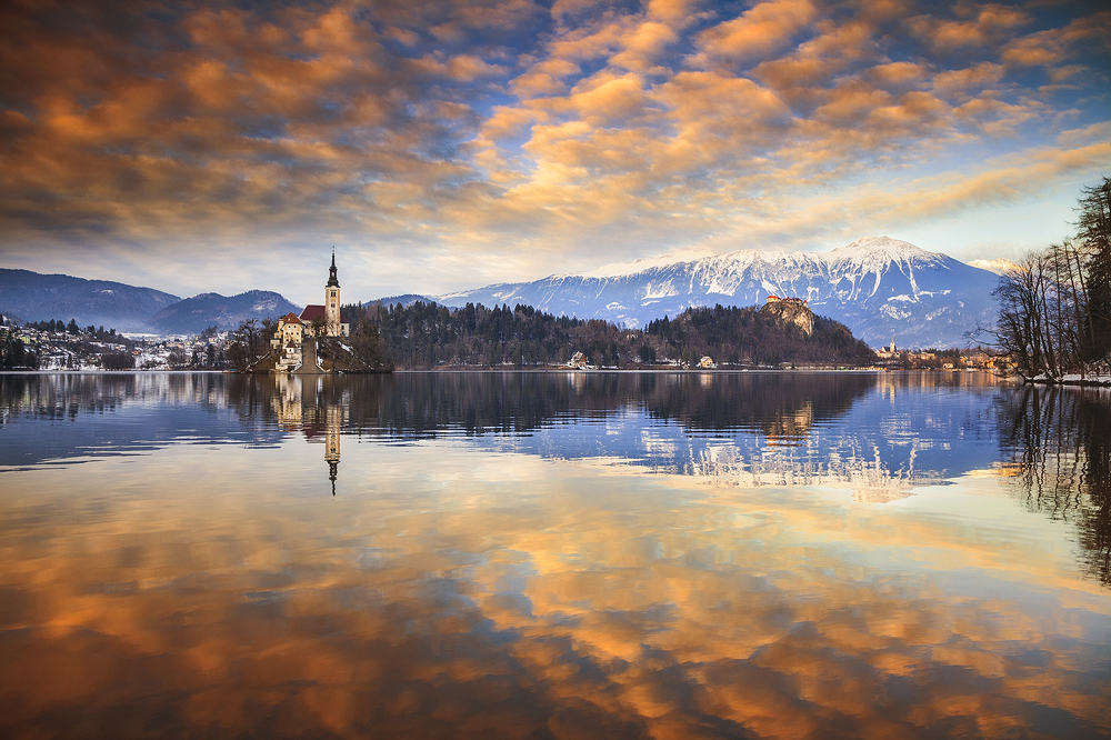 ...bled XXXI...