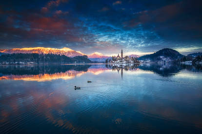 ...bled XXXVII...