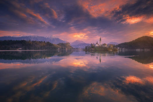 bled