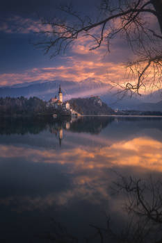 bled