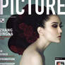 Picture Magazine