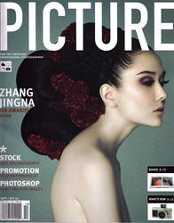 Picture Magazine