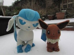 Eevee and Glaceon