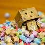 danbo series : what's happend