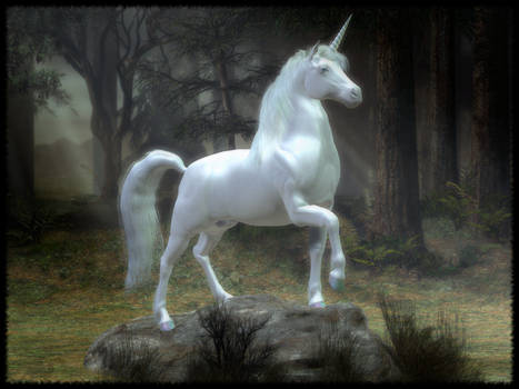 White Pony 2005