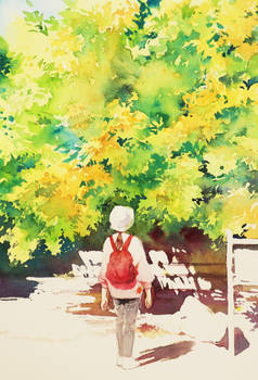 As Summer turns into Autumn