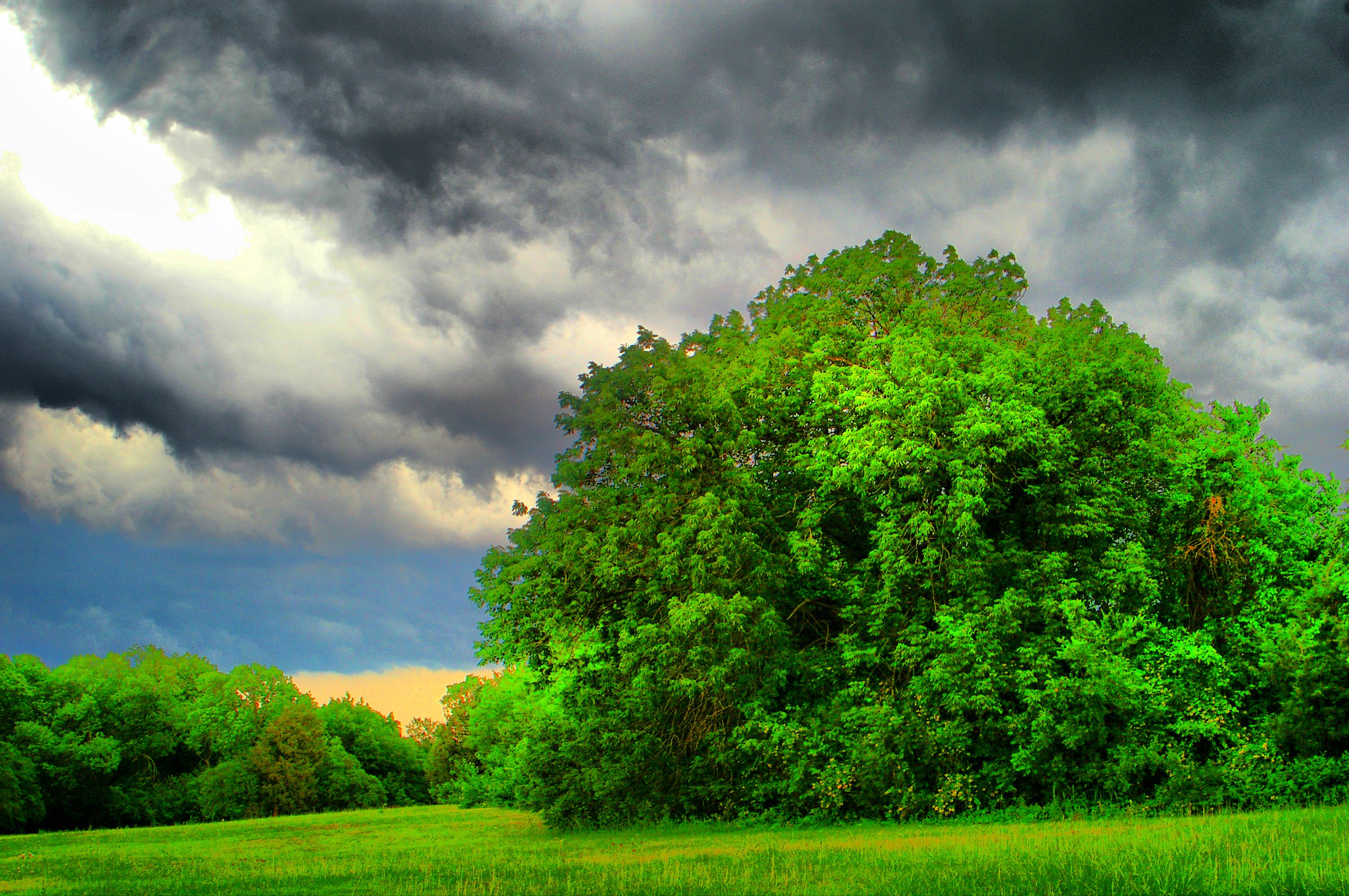 Life and Death HDR