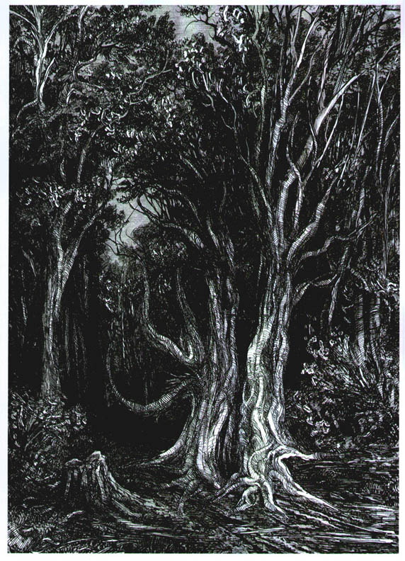 FANGORN