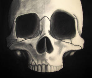 Skull Series #3