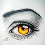 Amber Eye (Sketch)