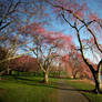 Springtime AT Holmdel