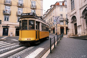 Streets In Lisbon 5