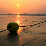 Summer Breeze