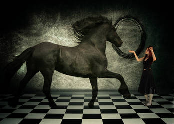 Black Horse