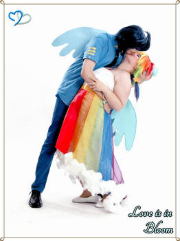 Soarin and Rainbow Dash Cosplay Canterlot Wedding2