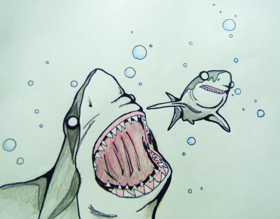 Shark Eating Fish Drawing