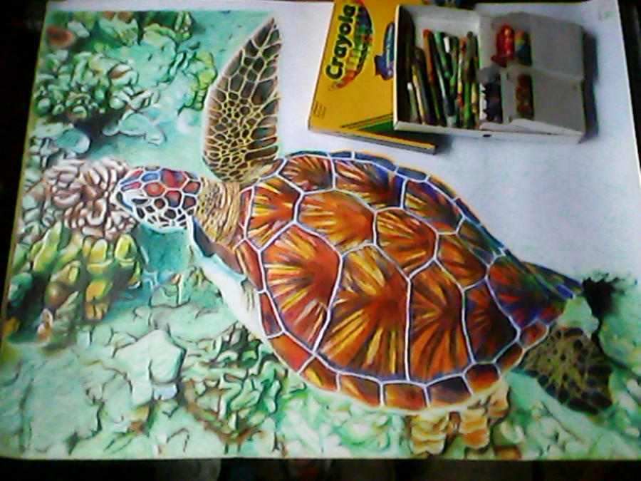 CRAYON - Turtle by blueprince312 on DeviantArt