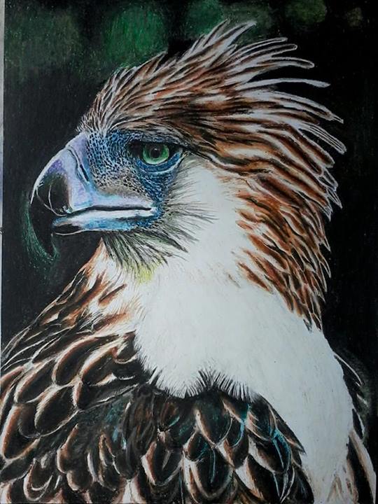 Philippine Eagle ( CRAYOLA CRAYONS ) by blueprince312 Philippine Eagle ( CRAYOLA CRAYONS ) by blueprince312