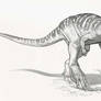 Draw Dinovember Day 25 Pachycephalosaurus