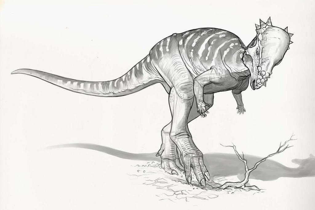 Draw Dinovember Day 25 Pachycephalosaurus