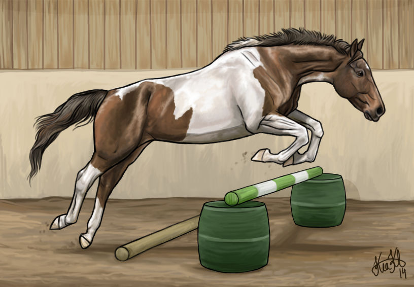 Deviantart Animal Jumping Free jumping by kianen on DeviantArt