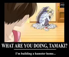 What are you doing Tamaki?