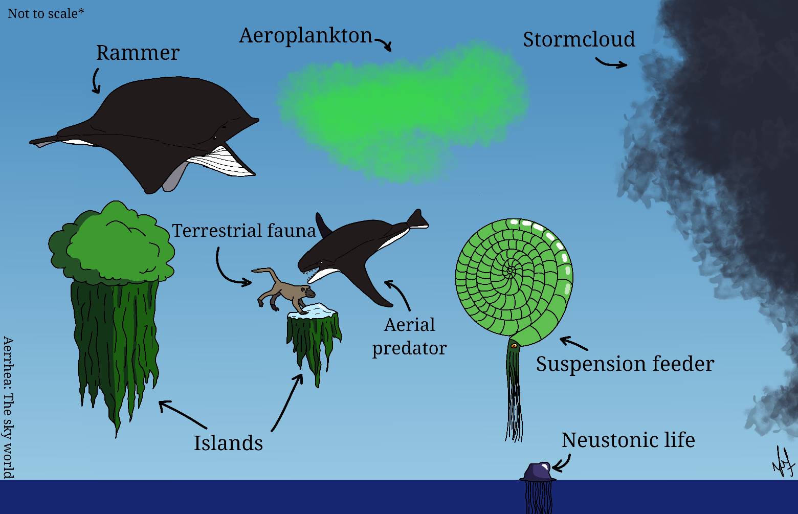 Terrestrial Working Model Terrestrial Ecosystem Diagram