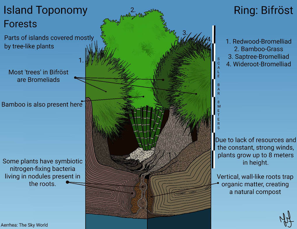 Island Toponomy: Forests by joaovitor45556 on DeviantArt