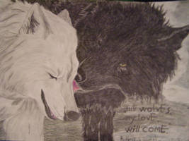 wolfs for madzinek