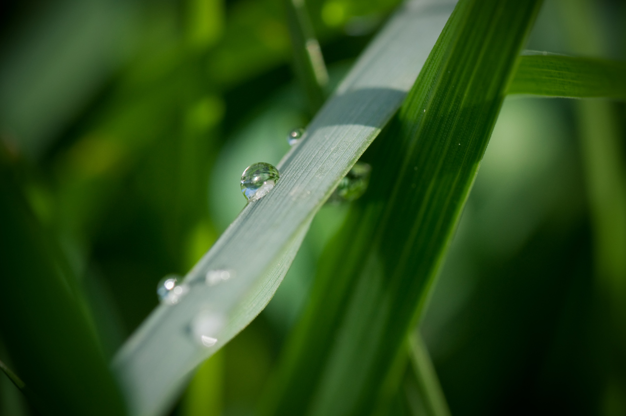 Hidding droplets