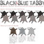Black and Blue Tabby