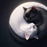 Yin and Yang