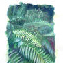 Fern Study