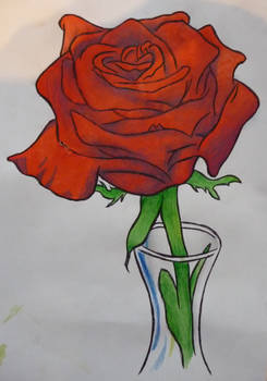 Tis A Rose