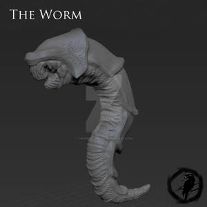 The Worm