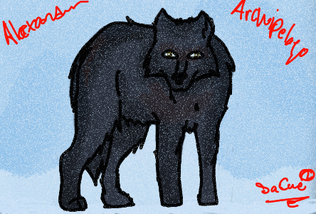 Alexander Archipelago Wolf