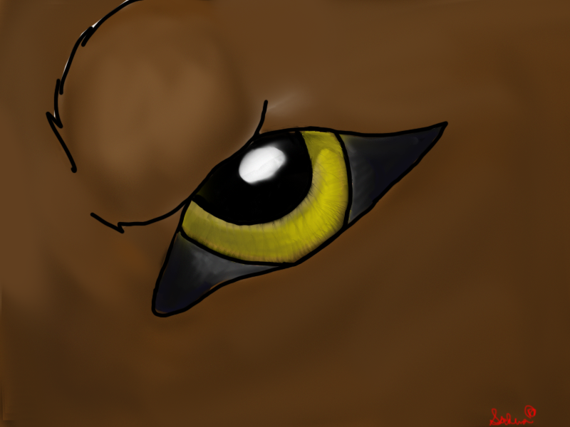 Best Eye mhm?