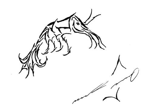 Doodle of a Shrimpy