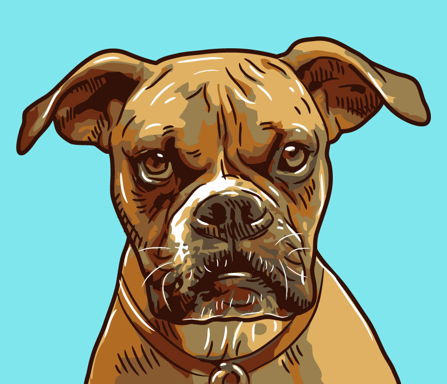 Deviantart Boxer Dog Boxer Fb by Comicvector703 on DeviantArt