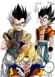 FUSIONS HA 2.0