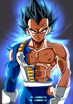 vegeta ultra instinc