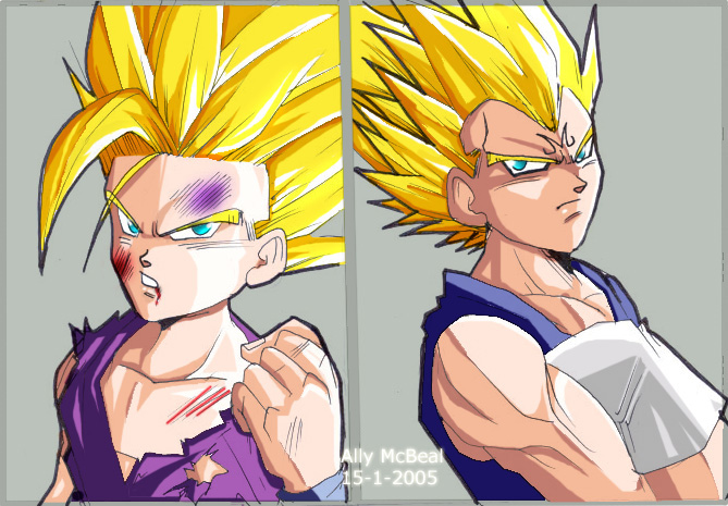 GOHAN-VEGETA PRACTICE