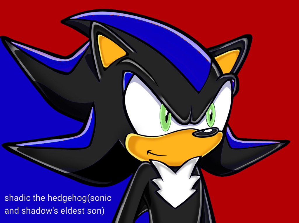 Shadic the hedgehog by coolgirl5912 on DeviantArt