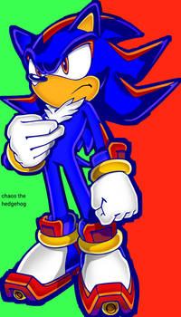 Chaos the hedgehog