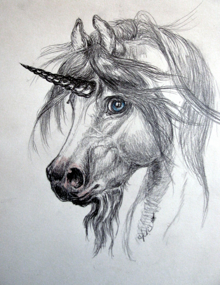 blue eyed unicorn