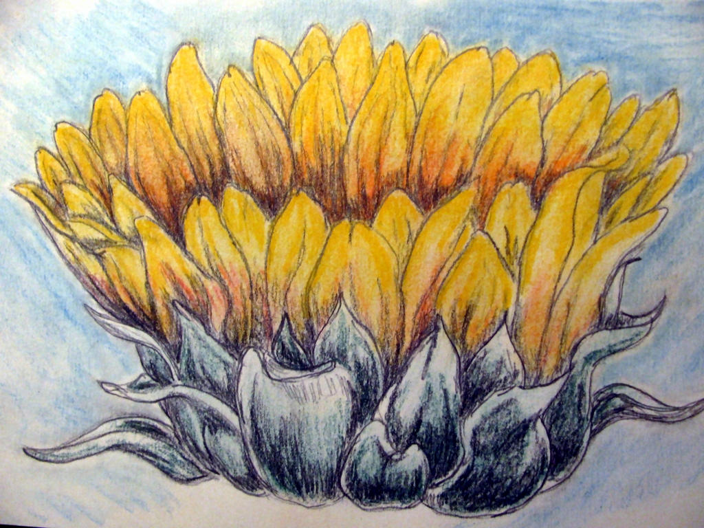 Yellow sun by chrisravensar on DeviantArt