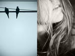 gravity ii by ThisFairyTale