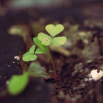 green by ThisFairyTale