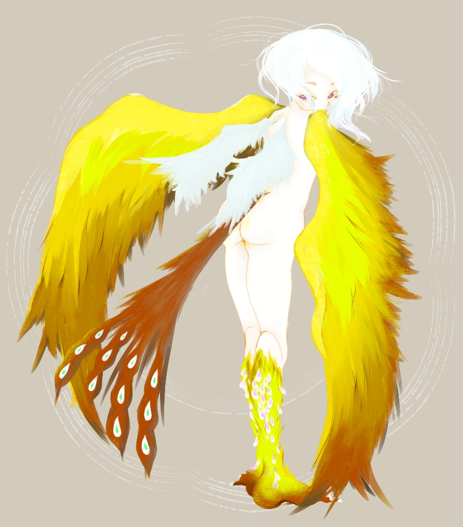 Harpy