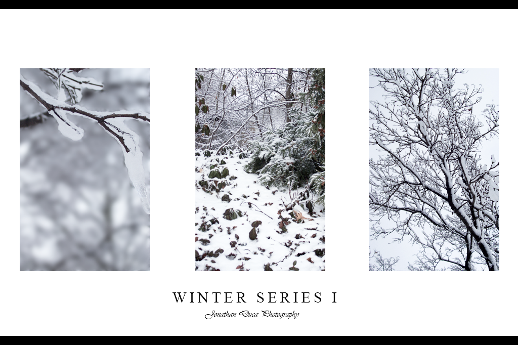 Winter Series I